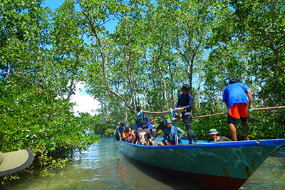 potensi_mangrove